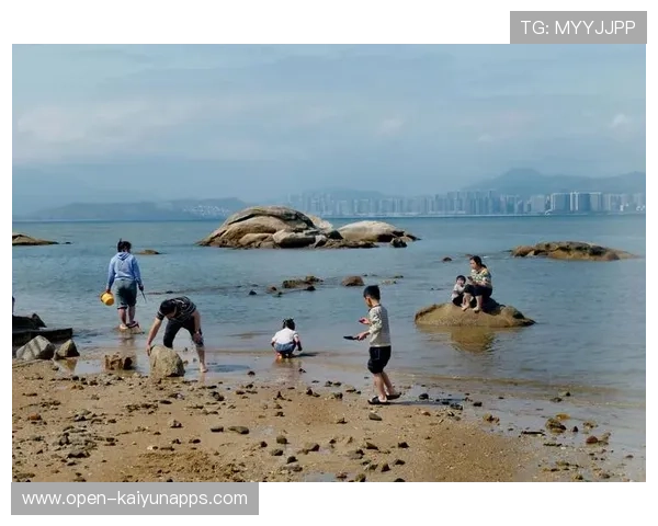 惠州赶海人台风后收获颇丰,赶海 惠州